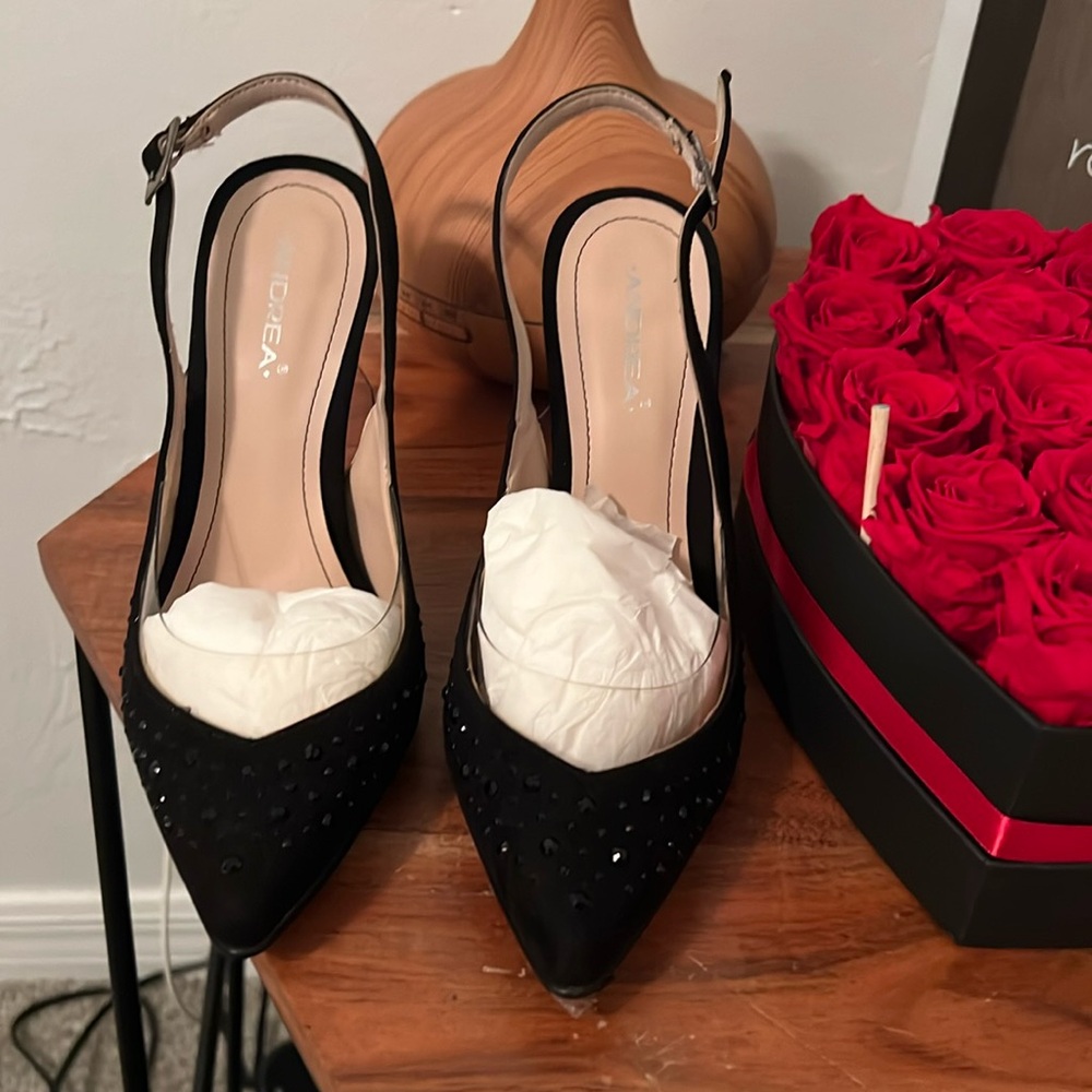 Andrea Shoes new in box Heels. Embellished size 8